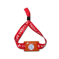 Custom Ultra High Frequency (UHF) RFID concert wristband